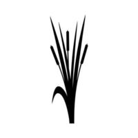 Rohrkolben-Symbolvektor. Schilf Abbildung Zeichen. Sumpf-Symbol. Gras-Logo. vektor