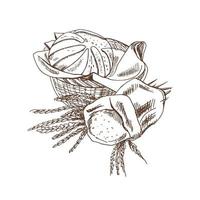Vektor handgezeichnete Skizze Illustration von Weidenkorb mit Brotlaib und Beutel mit Mehl und Ährchen aus Weizen. Zeichnung isoliert auf weißem Hintergrund. Skizzensymbol und Backelement.