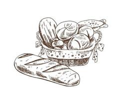 vektor hand gezeichnete skizzenillustration des weidenkorbs mit brot und brotlaib. Zeichnung isoliert auf weißem Hintergrund. Skizzensymbol und Backelement.