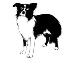 Hund-Silhouette-Zeichnungsvektor vektor