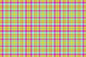 Hintergrundmuster Stoff. Textil-Karo-Tartan. Überprüfen Sie den nahtlosen Vektor der Textur.