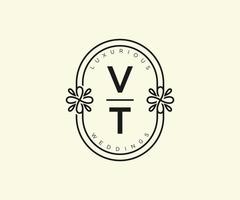 vt initialer brev bröllop monogram logotyper mall, hand dragen modern minimalistisk och blommig mallar för inbjudan kort, spara de datum, elegant identitet. vektor