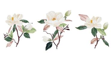 Aquarell weiße Magnolienblüte und Blattstrauß Clipart-Sammlung isoliert auf weißem Hintergrund vektor
