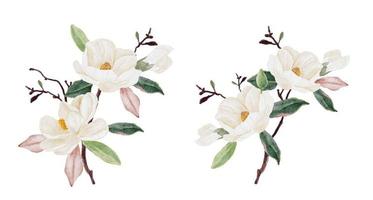 Aquarell weiße Magnolienblüte und Blattstrauß Clipart-Sammlung isoliert auf weißem Hintergrund vektor