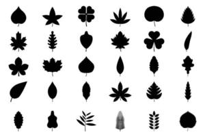 Satz schwarze Baumblätter. Blätter von Eiche, Espe, Linde, Ahorn, Kastanie, Klee und Pflanzen. vektor