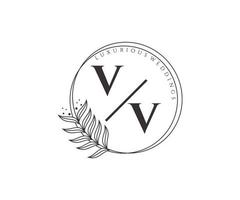 vv initialer brev bröllop monogram logotyper mall, hand dragen modern minimalistisk och blommig mallar för inbjudan kort, spara de datum, elegant identitet. vektor