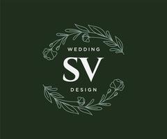 sv initialer brev bröllop monogram logotyper samling, hand dragen modern minimalistisk och blommig mallar för inbjudan kort, spara de datum, elegant identitet för restaurang, boutique, Kafé i vektor