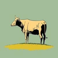 Nutztier eine erwachsene große Kuh vektor