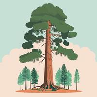 vuxen jätte sequoia träd vektor