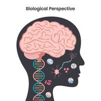 biologisk perspektiv psykologi utbildning vektor illustration design