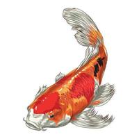 vektor antik stil japansk koi fisk illustration isolerat