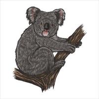 Schwarz-Weiß-Gravur isolierte Koala-Vektorillustration vektor