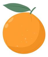 Orangenfrucht mit Blatt, organischer Zitrusvektor vektor