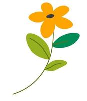 blühende wildblumen, botanikdekor floristenkunst vektor