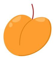 süße Pfirsichfrucht, reife Aprikose oder Nektarinen vektor