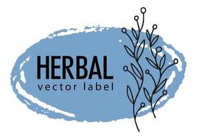 kräuteretikett, banner mit laub und botanikpflanze vektor