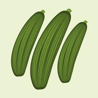 Zucchinivektorillustration für Grafikdesign und dekoratives Element vektor