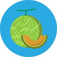 flache Ikone der Melonenfrucht vektor