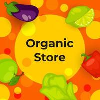 organisk Lagra med grönsaker och frukt vektor