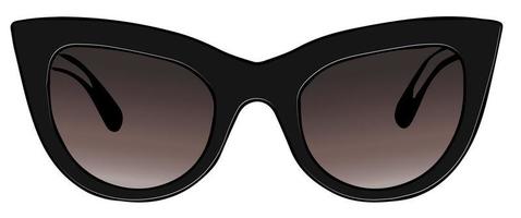Cat-Eye-Sonnenbrille, moderne modische Accessoires vektor