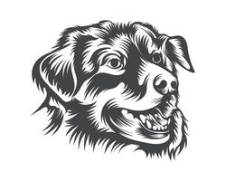 Australian Shepherd Dog Gesicht Schwarz-Weiß-Vektor vektor