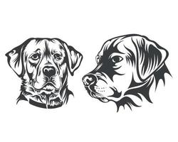 Schwarz-Weiß-Apportierhund-Gesichtsillustration für T-Shirt vektor