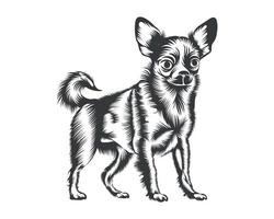 chihuahua hund zurück und weiße vektorsilhouette, hundegesichtsillustration vektor