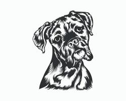 Boxer-Hund-Vektor-Illustration, Boxer-Hund-Vektor auf weißem Hintergrund vektor