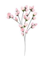 rosa knoppar blommor bukett målning design vektor