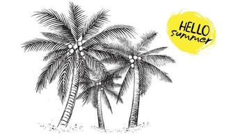 hej sommar, palm, glas, ananas. handritad illustration. vektor