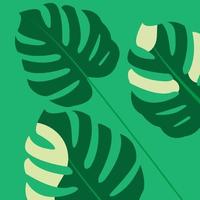 das design ist trendy und exotisch für das blatt monstera grün der natur im sommerlichen botanischen dschungel für den bannerhintergrund, die dekoration, den rahmen und zur illustration. vektor