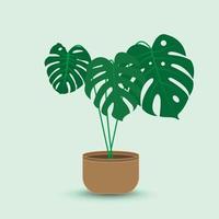 das design ist trendy und exotisch für das blatt monstera grün der natur im sommerlichen botanischen dschungel für den bannerhintergrund, die dekoration, den rahmen und zur illustration. vektor