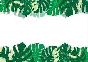 das design ist trendy und exotisch für das blatt monstera grün der natur im sommerlichen botanischen dschungel für den bannerhintergrund, die dekoration, den rahmen und zur illustration. vektor