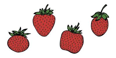 Vektor-Set von Erdbeer-Cliparts. Hand gezeichnete Beerenikone. Fruchtabbildung. für Print, Web, Design, Dekor, Logo. vektor