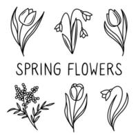 Blumenelemente im Doodle-Stil, Blätter und Zweige in Vektor. für Hochzeitsdesign, Logo und Grußkarte. vektor