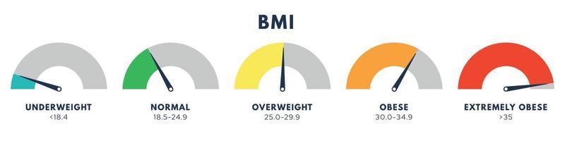 Body-Mass-Index oder Mass-Index-Skala. arten von bmi.weight loss konzept. vektor isolierte illustration