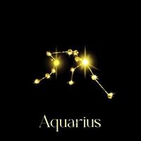 horoskop aquarius konstellationer av de zodiaken tecken från en gyllene textur på en svart bakgrund vektor