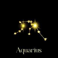Horoskop Wassermann Konstellationen des Tierkreiszeichens aus einer goldenen Textur auf schwarzem Hintergrund vektor