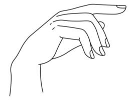 elegant hand med fingrar, minimalistisk handflatan linje vektor