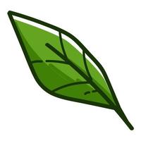 grön blad lövverk tropisk flora ekologi grönska vektor