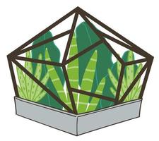 suckulenter växande i glas terrarium ekosystem vektor