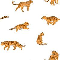gepard djur- i rörelse fortfarande sömlös mönster vektor