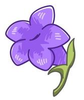 violett lavendel- blomma, blomning flora dekoration vektor