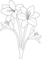 Lilienblütenblumen und Zweigvektorillustration. handzeichnung vektorillustration für das malbuch oder die seite schwarz-weiß gravierte tintenkunst, für kinder oder erwachsene. vektor