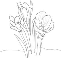 Safran Blumen Zweig der Handzeichnung Vektor-Illustration Vintage-Design-Elemente Blumenstrauß florale natürliche Sammlung Malvorlagen und Buch für Erwachsene und Kinder isolieren auf weißem Hintergrund vektor