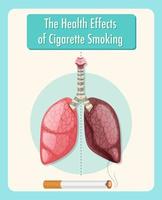 Plakat über die gesundheitlichen Auswirkungen des Zigarettenrauchens vektor