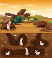 unterirdisches Tierloch mit vielen Kaninchen vektor