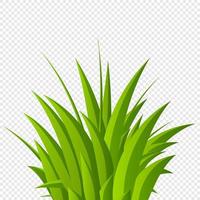 Hintergrund des grünen Grases. frische Sommerpflanzen. Grasbüsche. handgezeichnetes Gras. Gras isoliert. Öko-Symbol. Vektor-Illustration vektor