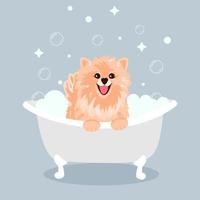 en söt grädde spets hund Sammanträde och leende med hans tunga fastnar ut i en badkar av bubblor. grooming salong begrepp vektor