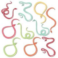 samling av tio färgglada randiga ormar vektor